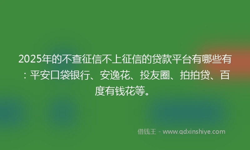 2025年的不查征信不上征信的贷款平台有哪些有：平安口袋银行、安逸花、投友圈、拍拍贷、百度有钱花等。