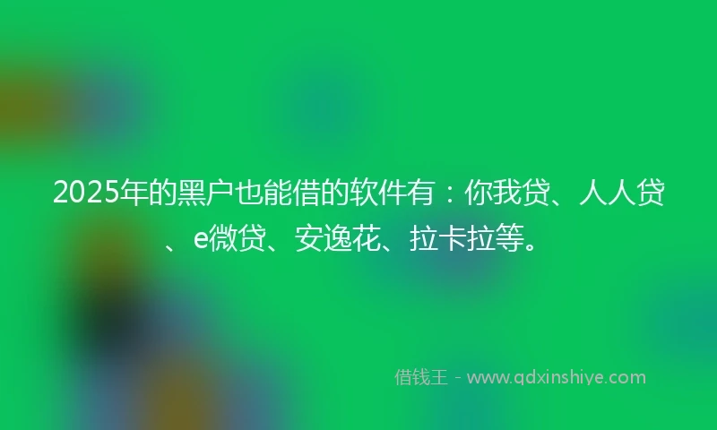 2025年的黑户也能借的软件有：你我贷、人人贷、e微贷、安逸花、拉卡拉等。