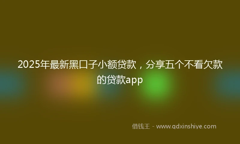 2025年最新黑口子小额贷款，分享五个不看欠款的贷款app