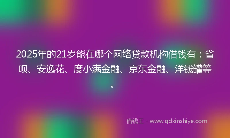 2025年的21岁能在哪个网络贷款机构借钱有：省呗、安逸花、度小满金融、京东金融、洋钱罐等。
