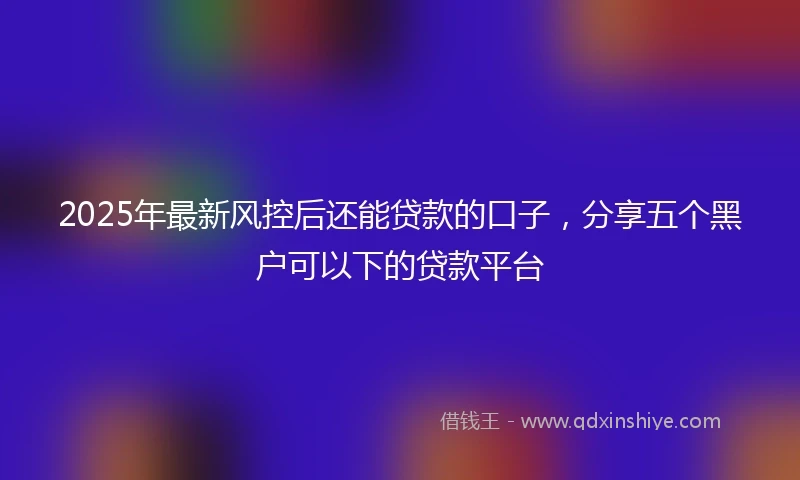 2025年最新风控后还能贷款的口子，分享五个黑户可以下的贷款平台