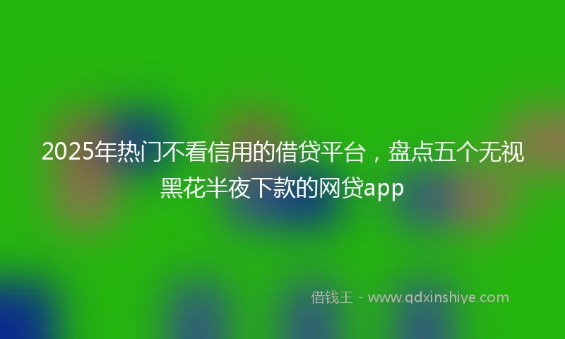2025年热门不看信用的借贷平台，盘点五个无视黑花半夜下款的网贷app