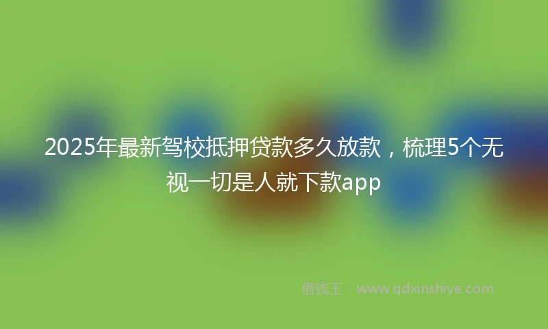 2025年最新驾校抵押贷款多久放款，梳理5个无视一切是人就下款app