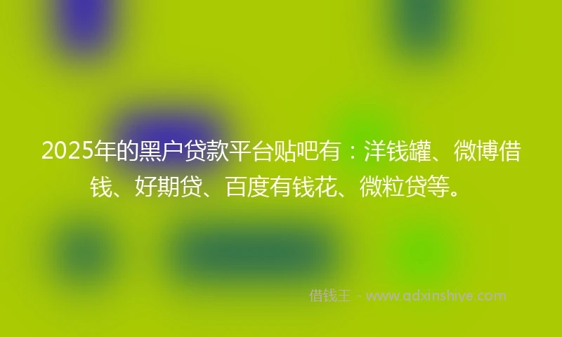 2025年的黑户贷款平台贴吧有：洋钱罐、微博借钱、好期贷、百度有钱花、微粒贷等。