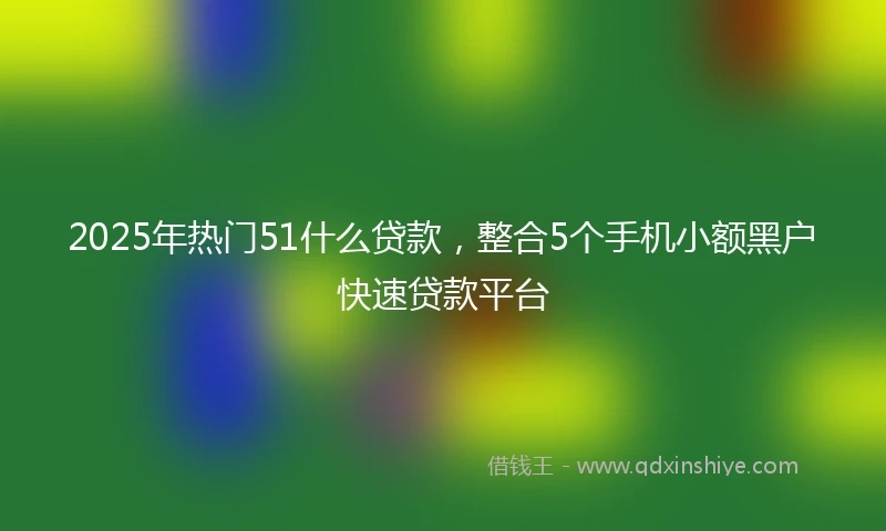 2025年热门51什么贷款，整合5个手机小额黑户快速贷款平台