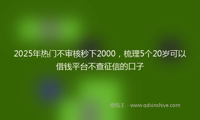 2025年热门不审核秒下2000,梳理5个20岁可以借钱平台不查征信的口子