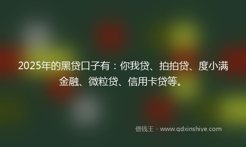 2025年的黑贷口子有：你我贷、拍拍贷、度小满金融、微粒贷、信用卡贷等。