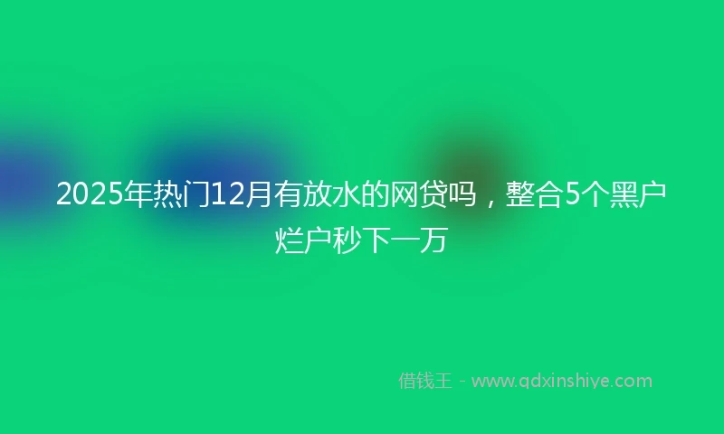 2025年热门12月有放水的网贷吗，整合5个黑户烂户秒下一万