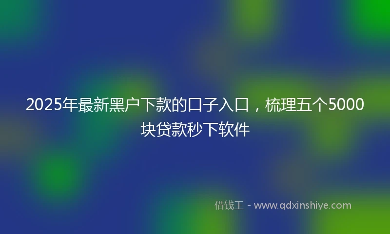 2025年最新黑户下款的口子入口，梳理五个5000块贷款秒下软件