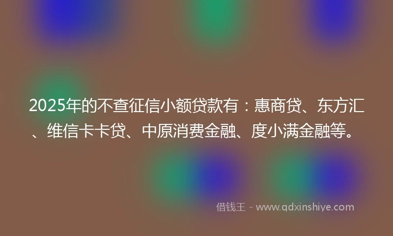2025年的不查征信小额贷款有:惠商贷、东方汇、维信卡卡贷、中原消费金融、度小满金融等。