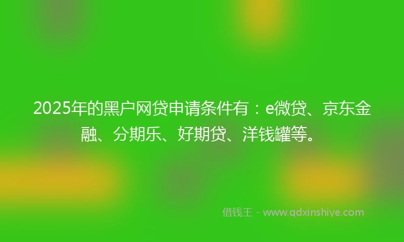 2025年的黑户网贷申请条件有：e微贷、京东金融、分期乐、好期贷、洋钱罐等。