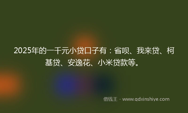2025年的一千元小贷口子有：省呗、我来贷、柯基贷、安逸花、小米贷款等。