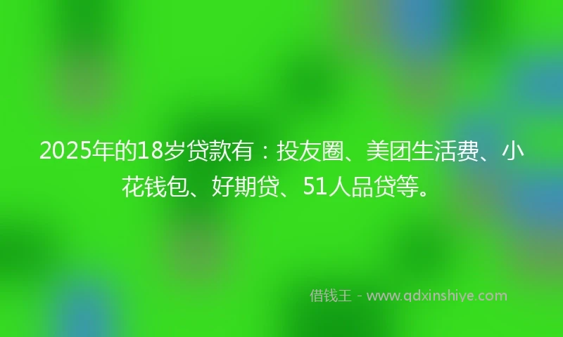 2025年的18岁贷款有：投友圈、美团生活费、小花钱包、好期贷、51人品贷等。