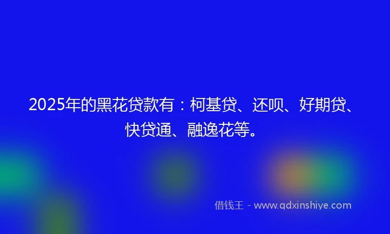 2025年的黑花贷款有：柯基贷、还呗、好期贷、快贷通、融逸花等。