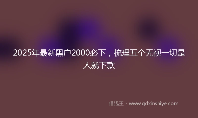 2025年最新黑户2000必下，梳理五个无视一切是人就下款