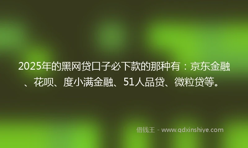 2025年的黑网贷口子必下款的那种有：京东金融、花呗、度小满金融、51人品贷、微粒贷等。