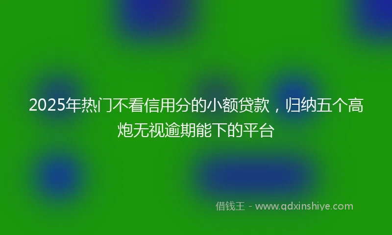 2025年热门不看信用分的小额贷款,归纳五个高炮无视逾期能下的平台