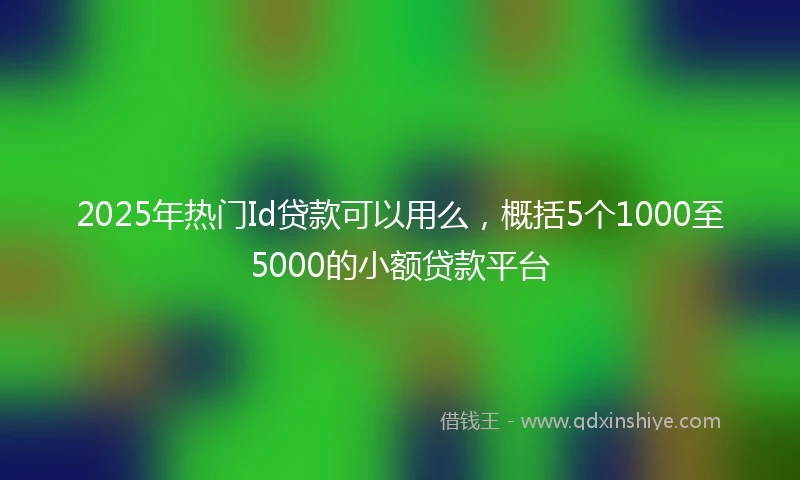 2025年热门Id贷款可以用么，概括5个1000至5000的小额贷款平台