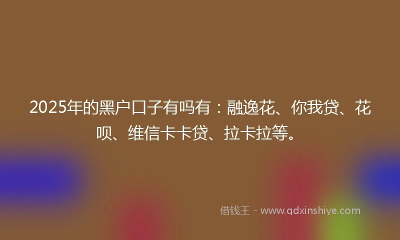 2025年的黑户口子有吗有：融逸花、你我贷、花呗、维信卡卡贷、拉卡拉等。