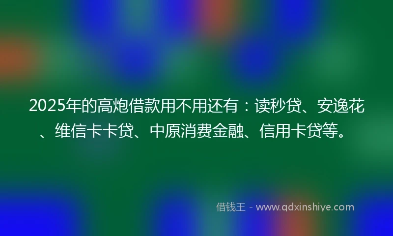 2025年的高炮借款用不用还有：读秒贷、安逸花、维信卡卡贷、中原消费金融、信用卡贷等。