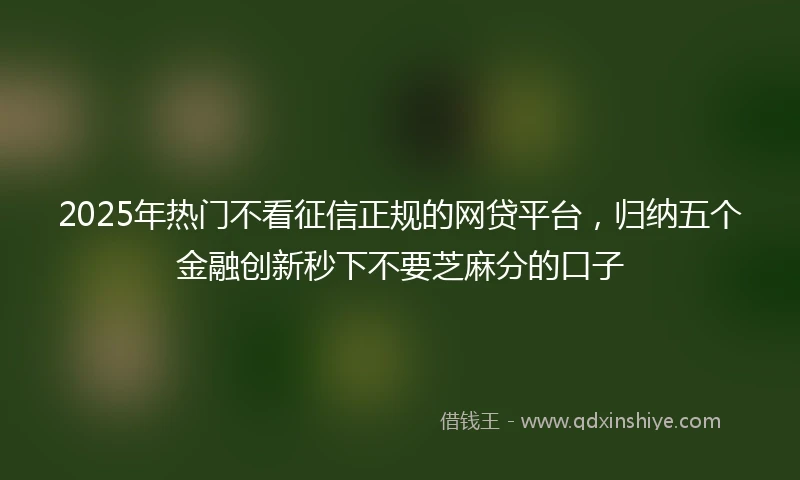 2025年热门不看征信正规的网贷平台，归纳五个金融创新秒下不要芝麻分的口子