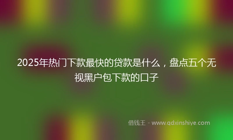2025年热门下款最快的贷款是什么，盘点五个无视黑户包下款的口子