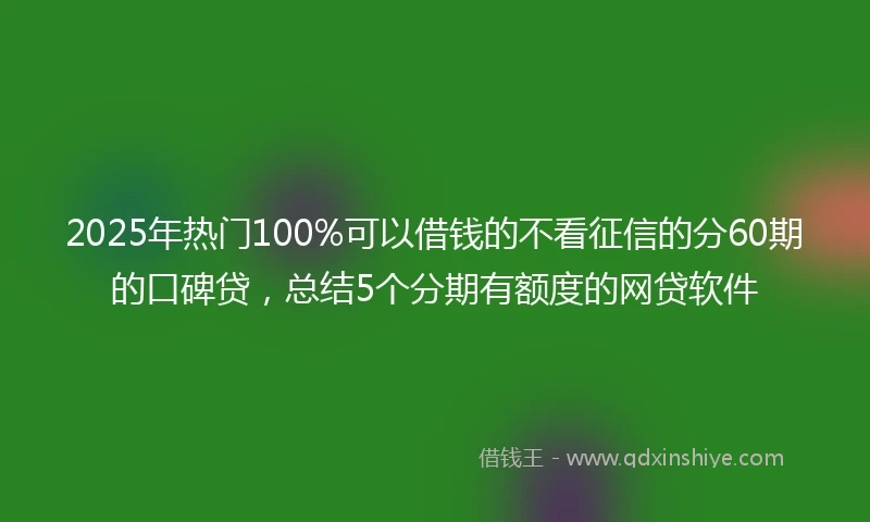 2025年热门100%可以借钱的不看征信的分60期的口碑贷，总结5个分期有额度的网贷软件