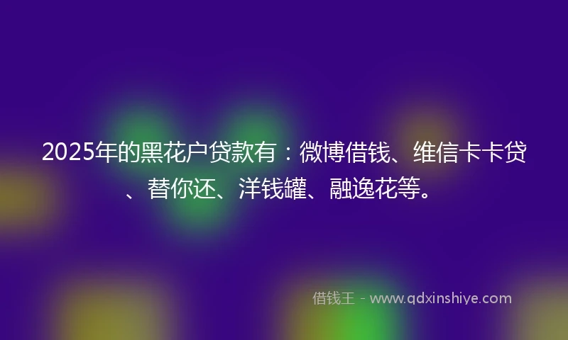 2025年的黑花户贷款有：微博借钱、维信卡卡贷、替你还、洋钱罐、融逸花等。