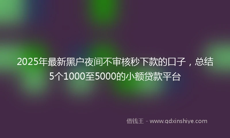 2025年最新黑户夜间不审核秒下款的口子，总结5个1000至5000的小额贷款平台