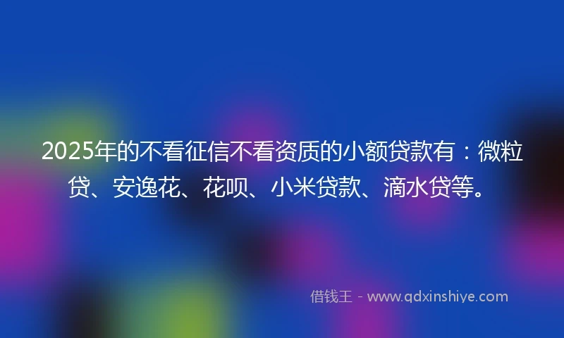 2025年的不看征信不看资质的小额贷款有：微粒贷、安逸花、花呗、小米贷款、滴水贷等。