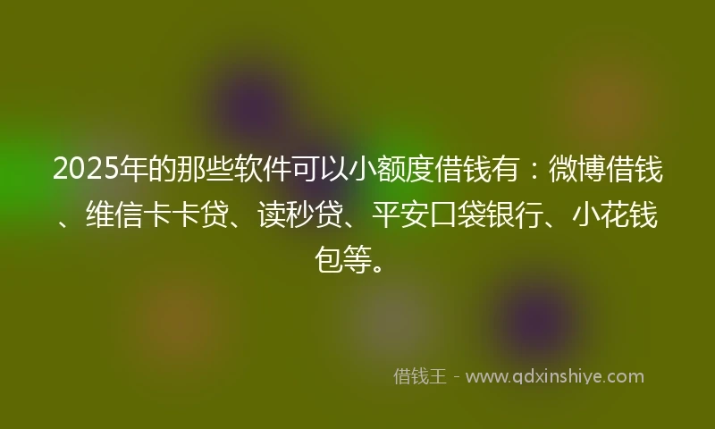 2025年的那些软件可以小额度借钱有：微博借钱、维信卡卡贷、读秒贷、平安口袋银行、小花钱包等。