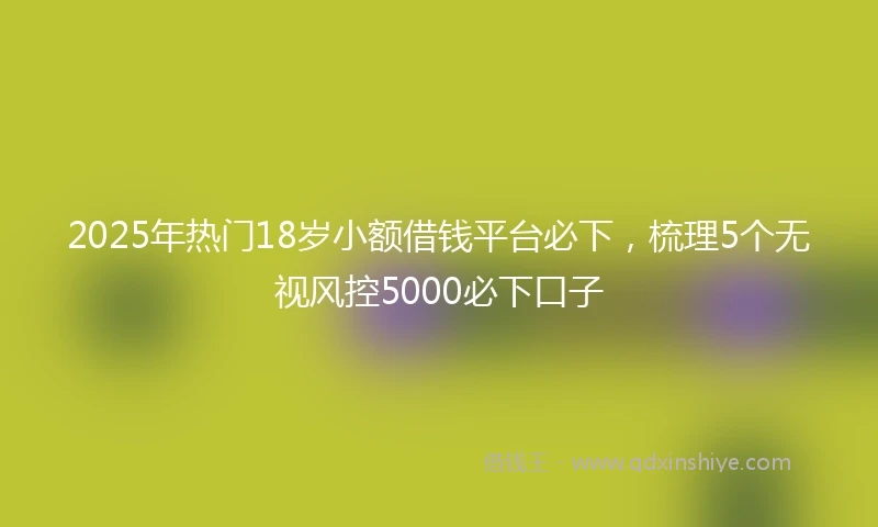 2025年热门18岁小额借钱平台必下,梳理5个无视风控5000必下口子