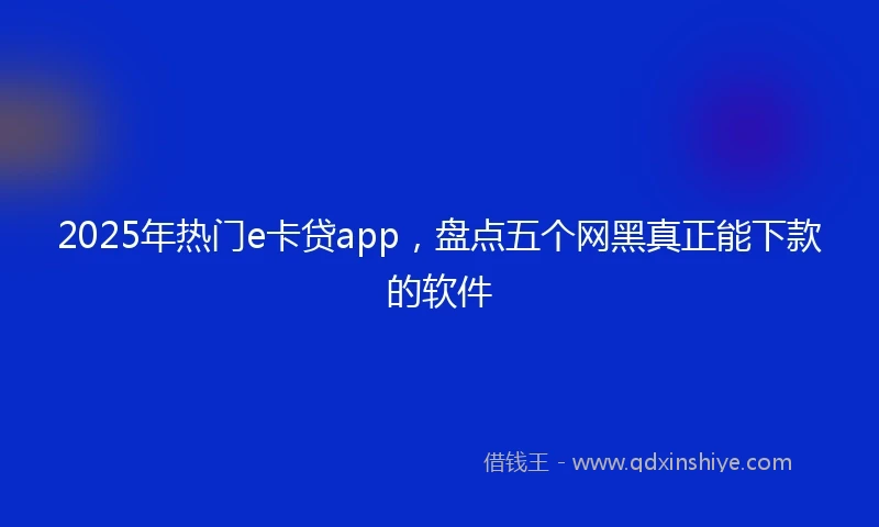 2025年热门e卡贷app,盘点五个网黑真正能下款的软件