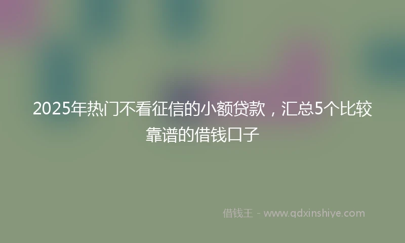 2025年热门不看征信的小额贷款，汇总5个比较靠谱的借钱口子