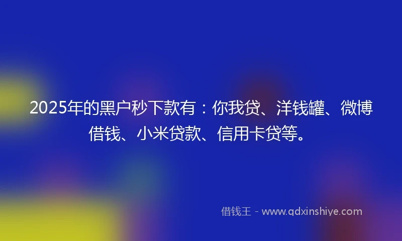 2025年的黑户秒下款有：你我贷、洋钱罐、微博借钱、小米贷款、信用卡贷等。