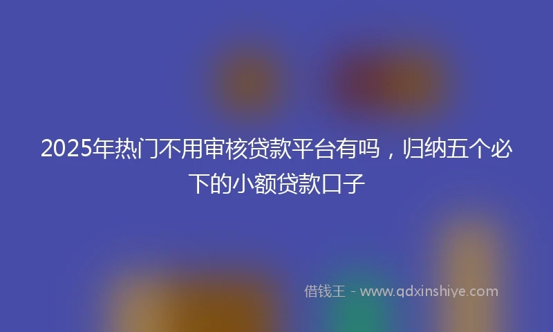 2025年热门不用审核贷款平台有吗，归纳五个必下的小额贷款口子