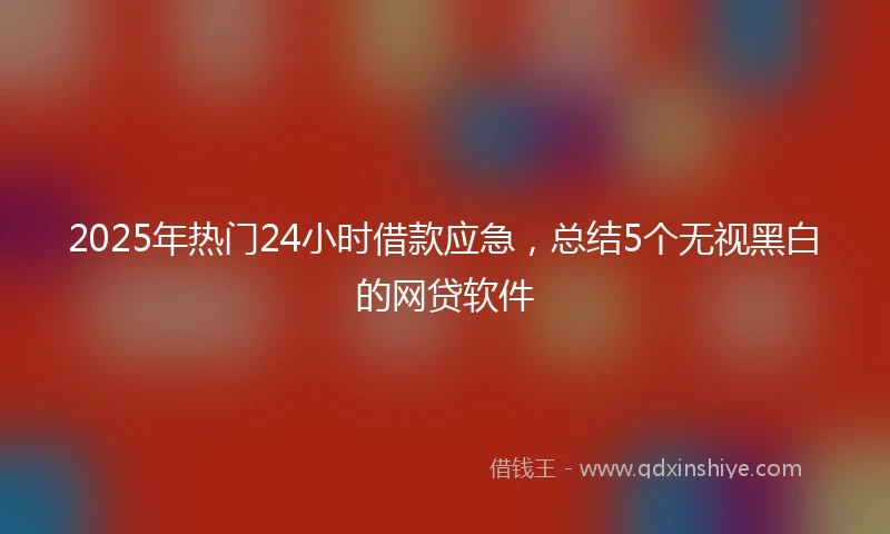 2025年热门24小时借款应急，总结5个无视黑白的网贷软件