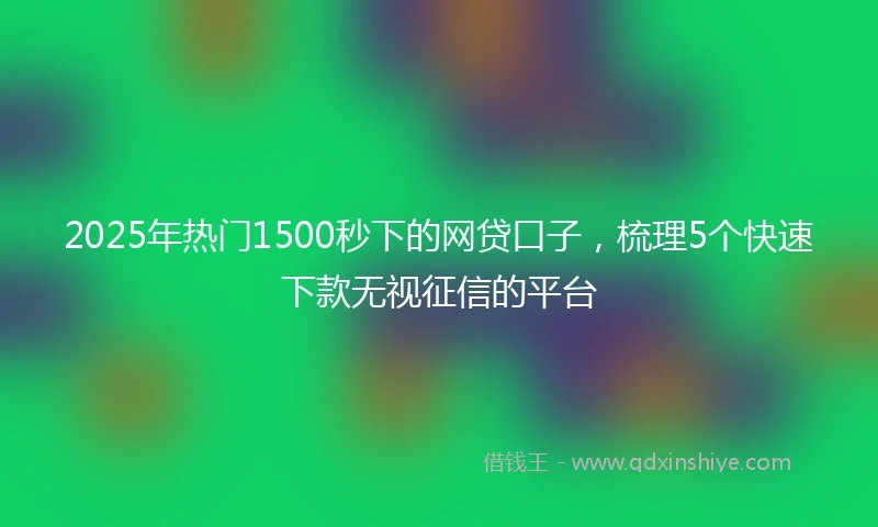 2025年热门1500秒下的网贷口子，梳理5个快速下款无视征信的平台