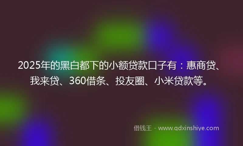 2025年的黑白都下的小额贷款口子有：惠商贷、我来贷、360借条、投友圈、小米贷款等。