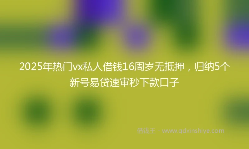 2025年热门vx私人借钱16周岁无抵押，归纳5个新号易贷速审秒下款口子