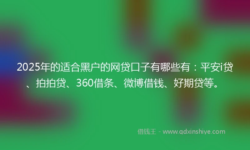 2025年的适合黑户的网贷口子有哪些有：平安i贷、拍拍贷、360借条、微博借钱、好期贷等。