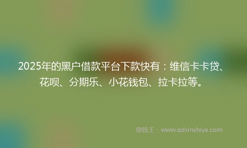 2025年的黑户借款平台下款快有：维信卡卡贷、花呗、分期乐、小花钱包、拉卡拉等。