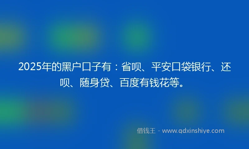 2025年的黑户口子有：省呗、平安口袋银行、还呗、随身贷、百度有钱花等。