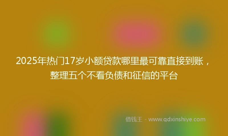 2025年热门17岁小额贷款哪里最可靠直接到账，整理五个不看负债和征信的平台