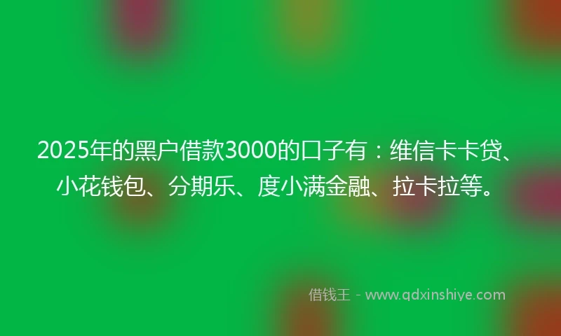 2025年的黑户借款3000的口子有：维信卡卡贷、小花钱包、分期乐、度小满金融、拉卡拉等。