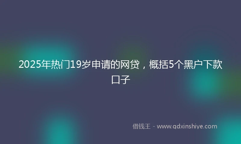 2025年热门19岁申请的网贷，概括5个黑户下款口子