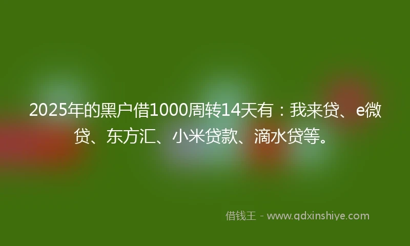 2025年的黑户借1000周转14天有：我来贷、e微贷、东方汇、小米贷款、滴水贷等。