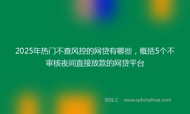 2025年热门不查风控的网贷有哪些,概括5个不审核夜间直接放款的网贷平台