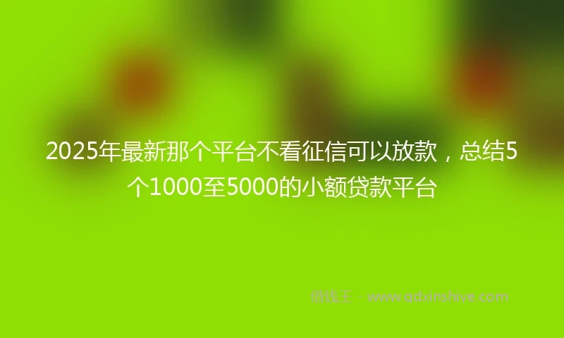 2025年最新那个平台不看征信可以放款，总结5个1000至5000的小额贷款平台