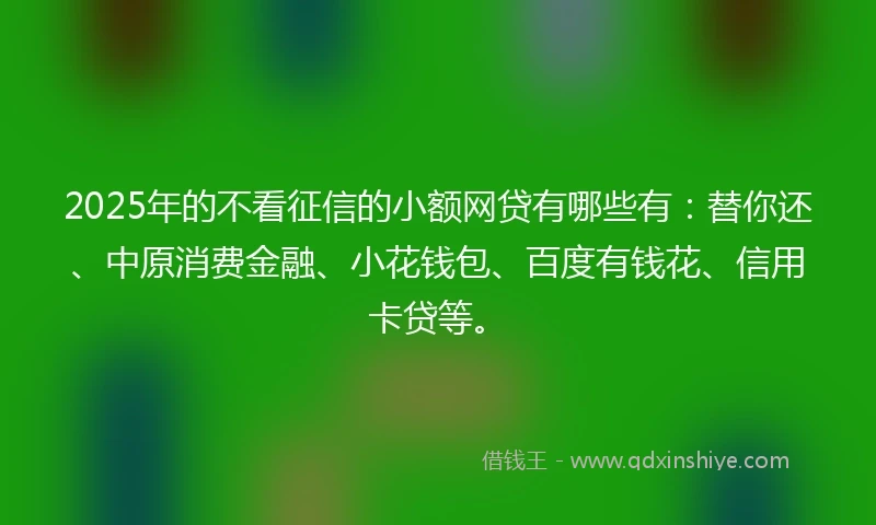2025年的不看征信的小额网贷有哪些有：替你还、中原消费金融、小花钱包、百度有钱花、信用卡贷等。